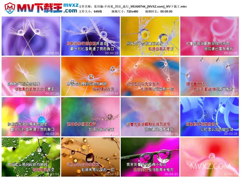 张玮伽-不再见_国语_流行_MEA00744